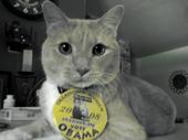 Niles wants YOU to vote Obama