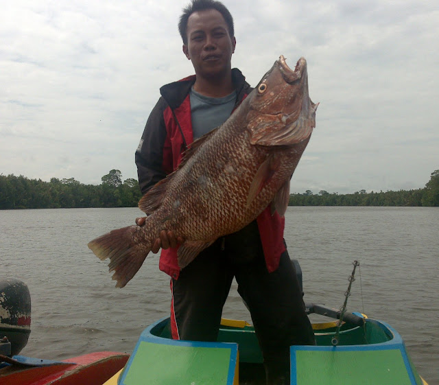 сабвуфер black hawk. блэк сабах. активный сабвуфер урал блэк хуракан. сабвуфер урал black hurricane. блэк гидра hgs 2521.