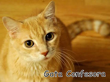 Gata Confesora