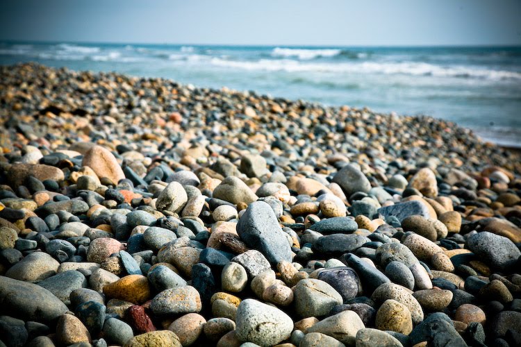 nicole-s-nature-blog