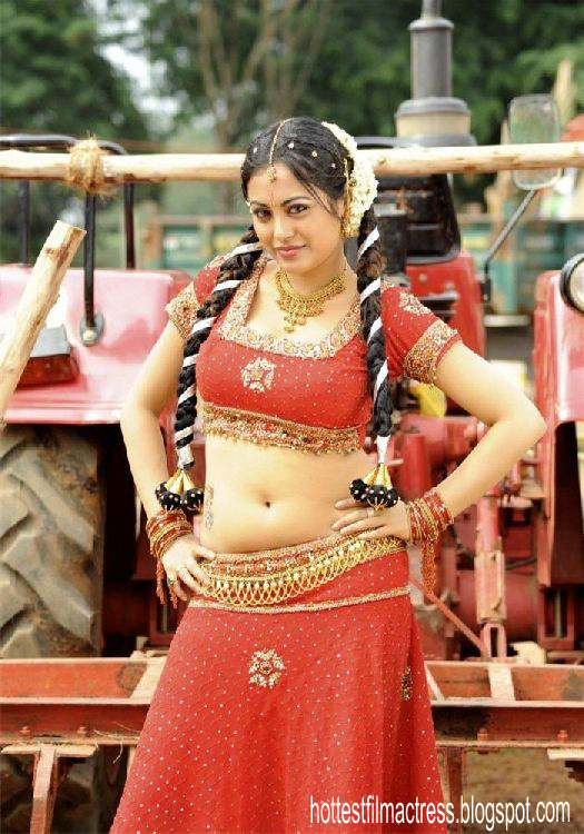 Hot Indian Actress Navel Pics