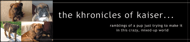 the kaiser khronicles