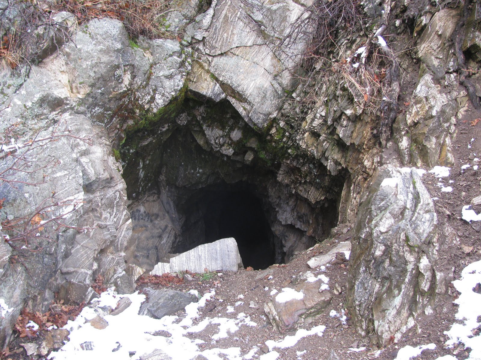 Backyard Excursions: Patsy's Mine