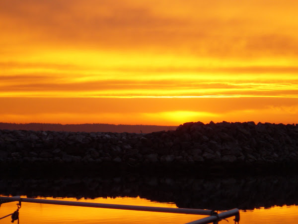 Winter Sunrise in Sidney