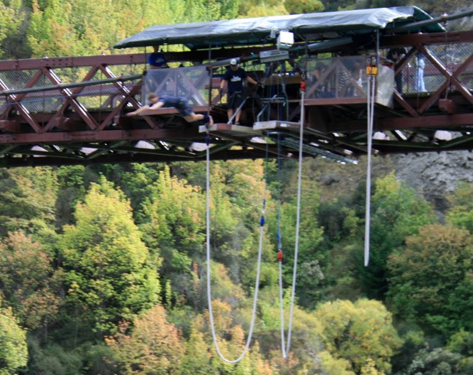 [Bungy1.jpg]