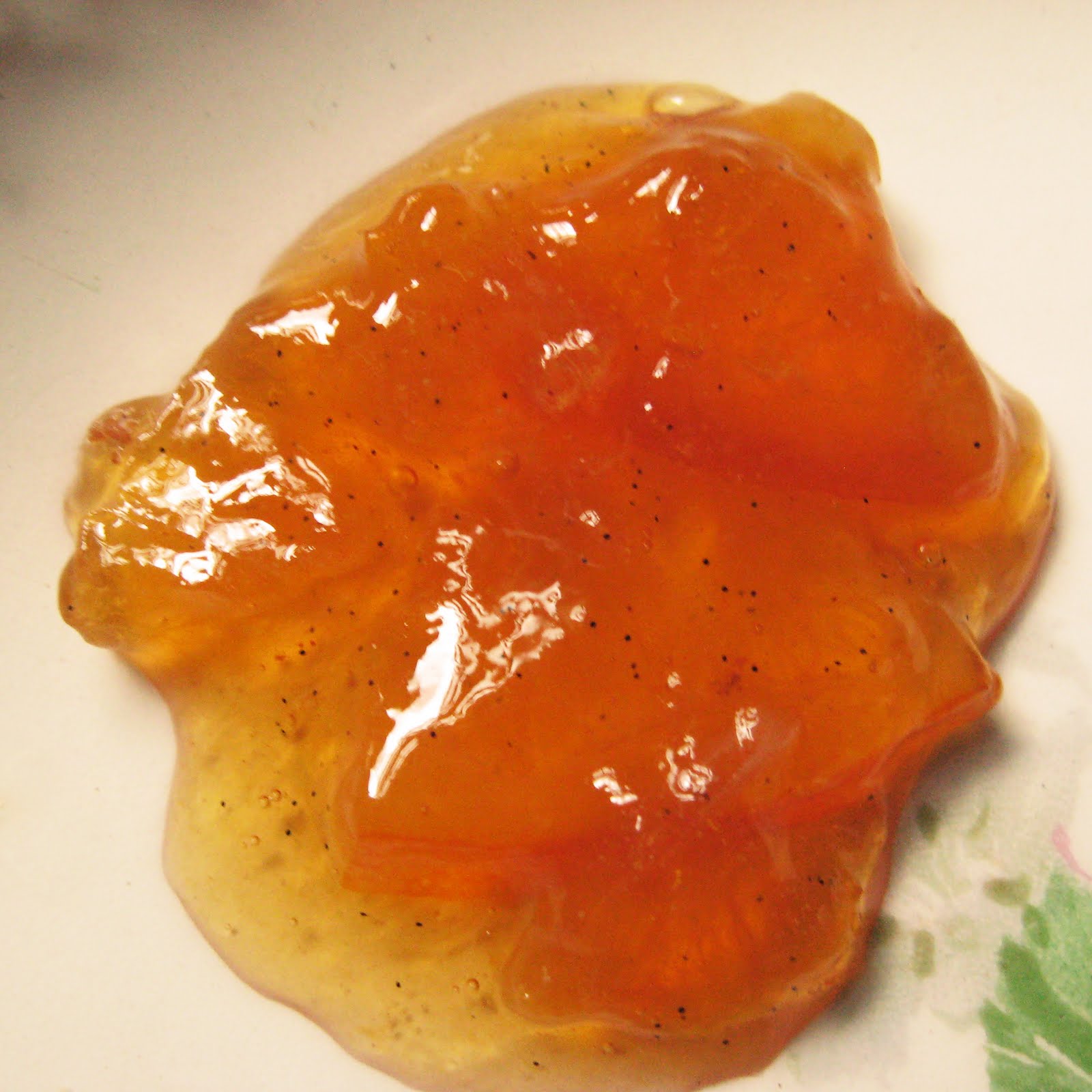 Boston Found Meyer Lemon & Vanilla Bean Marmalade