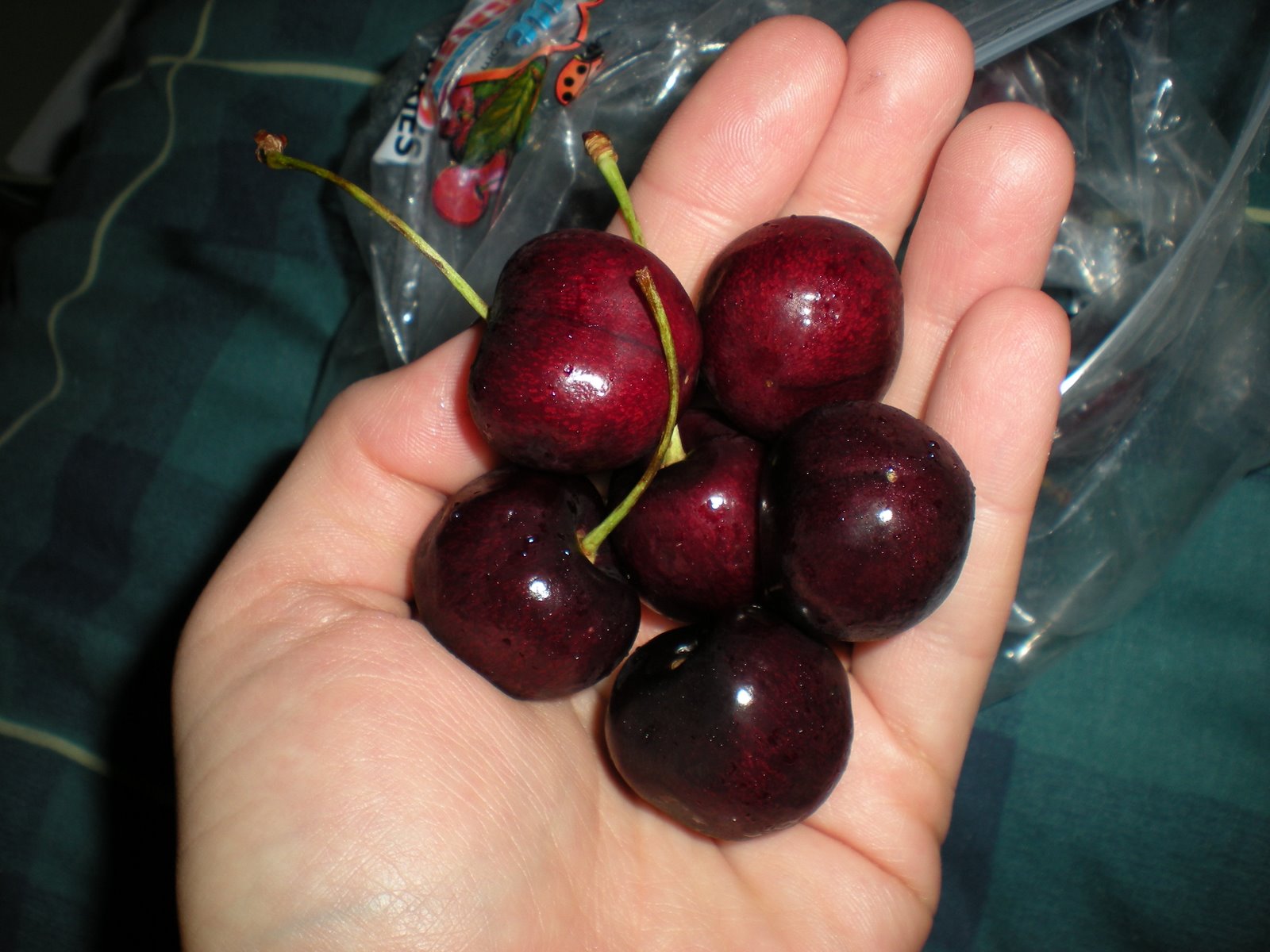 [Foodies+730.jpg]
