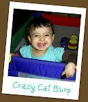 Crazy Cat Blurp