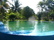 El Roble's Big Blue Pool