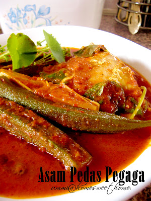 Daun Pegaga In English - Pegaga - MY Vegetable Patch / Pegaga is