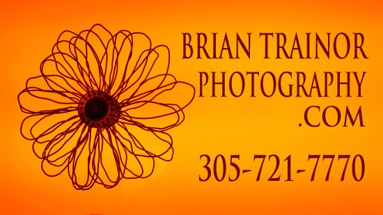 BRIAN TRAINOR PHOTOGRAPHY