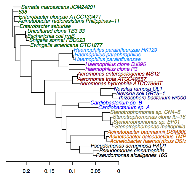 Python for Bioinformatics: New plotter for phylogenetic trees: version 0.1