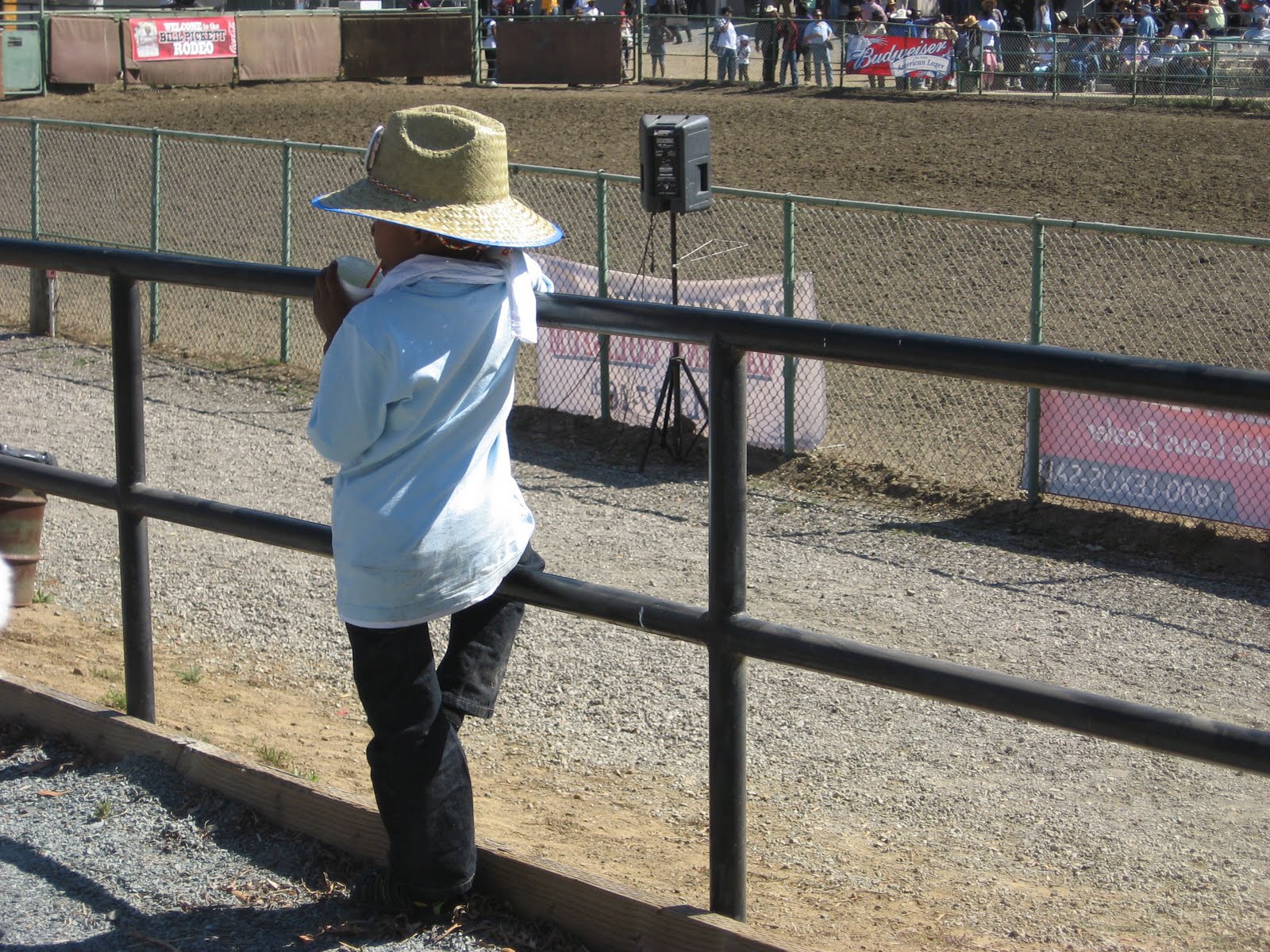 Interchange: Bill Pickett Invitational Rodeo July 10-11 in Hayward
