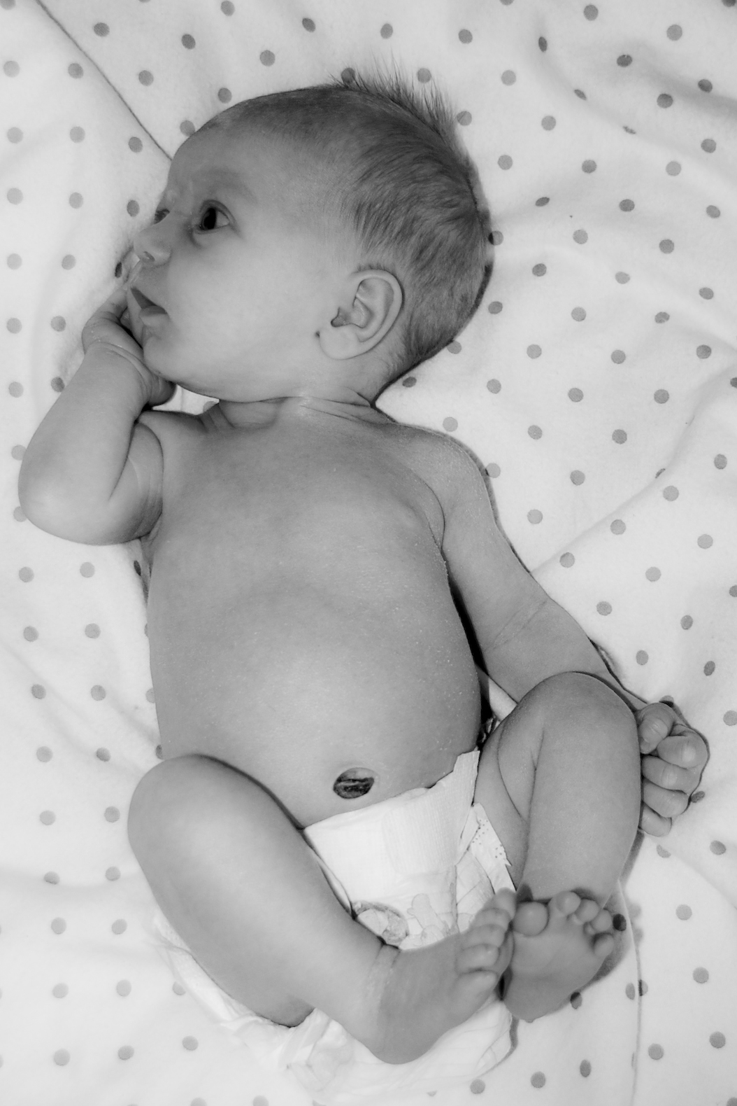 [MollyNewborn029.jpg]