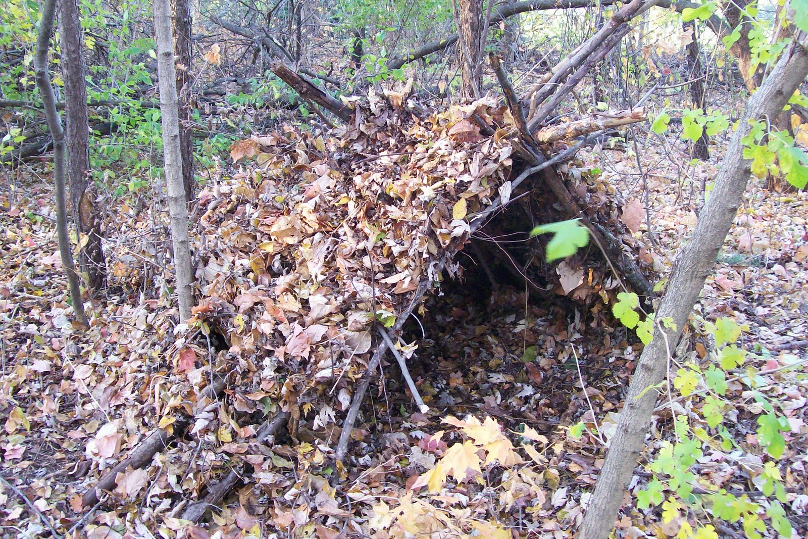 Bushcraft Plus Shelter Forest AFrame