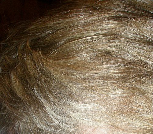 [tn_HSMS+SPS+2008+01+05.jpg]