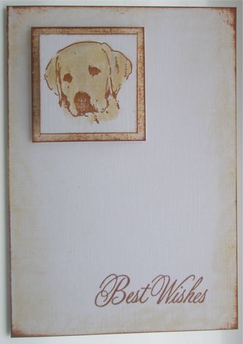 [tn_DCM+4+April+2008.jpg]