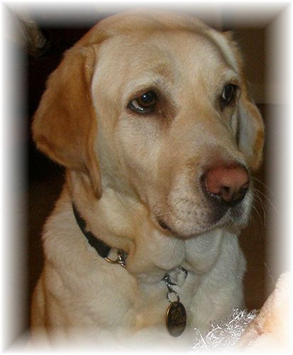 [tn_2008+04+19+SPS+josey.jpg]