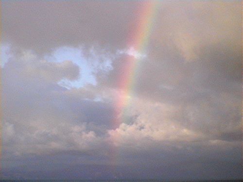 [tn_SOS+2008+05+04.jpg]