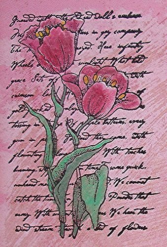 [tn_2008+04+Tanda+summer+competition+script.jpg]