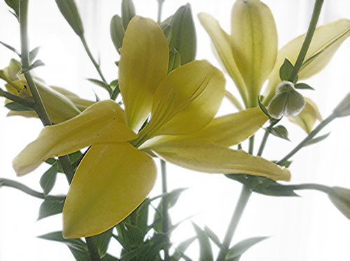 [tn_2008+08+24+SOS+1.jpg]