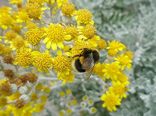 [tn_2008+09+14+SOS.jpg]