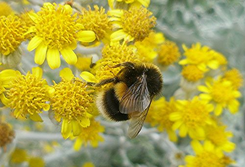 [tn_2008+09+13+SOS+3.jpg]