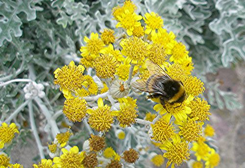 [tn_2008+09+13+SOS+2.jpg]