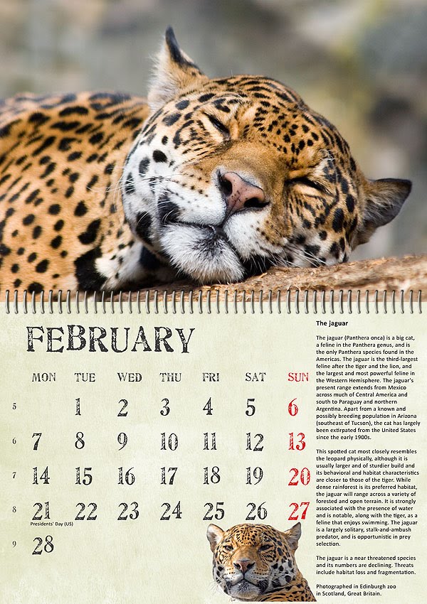 Nature and Wildlife Photography blog Wildlife calendar for 2011
