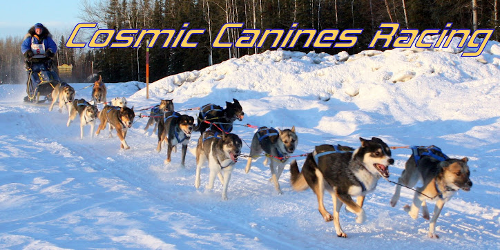 Cosmic Canines Racing