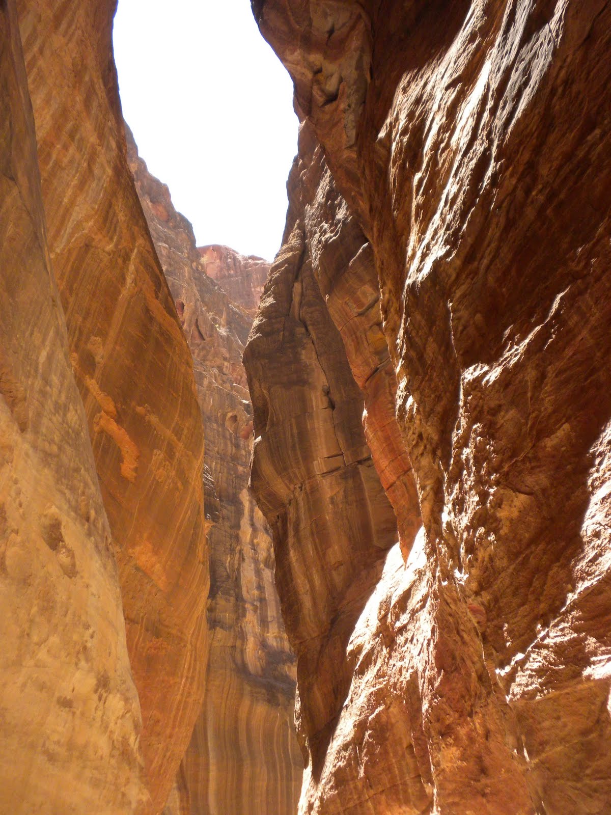 Petrafied Day 59 Hillier Than Thou