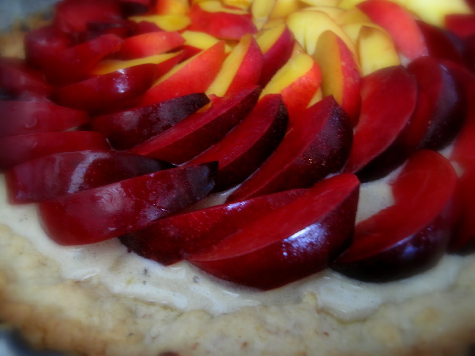10x10 Plum and Nectarine Tart with a Brown Butter Custard and an