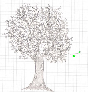 albero e silvia
