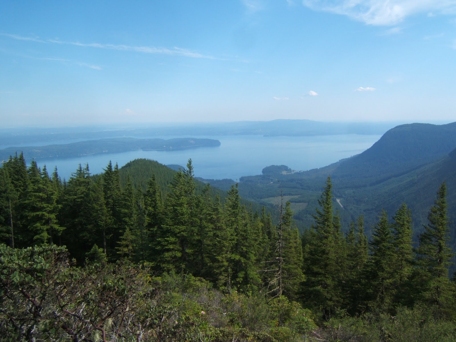Mt Walker Washington : Trails and trees at the Mt. Walker viewpoint ...