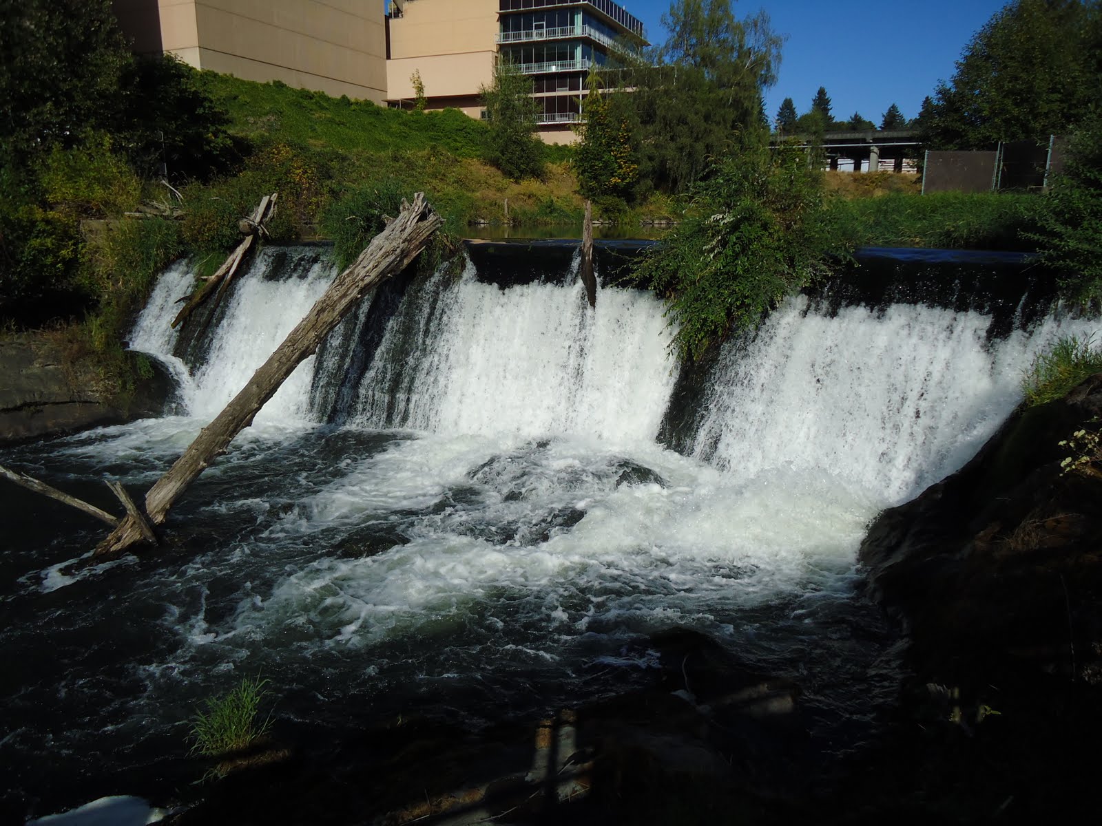 Matthew's Washington Trip Tumwater Falls Park, Tumwater, WA