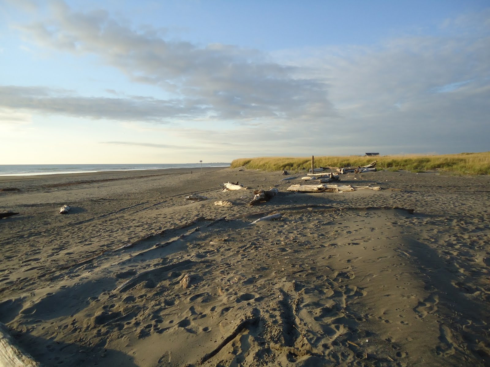 Matthew's Washington Trip Twin Harbors State Park and Beach