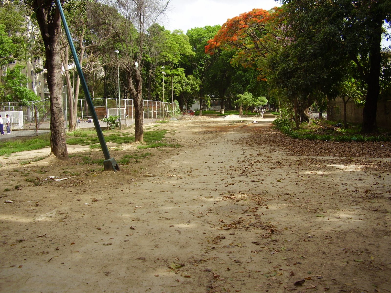 [parque+013.jpg]