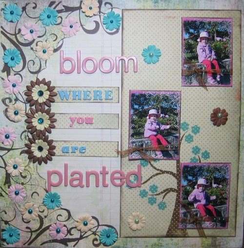 [Bloom+where+you+are+planted+by+Liz.JPG]