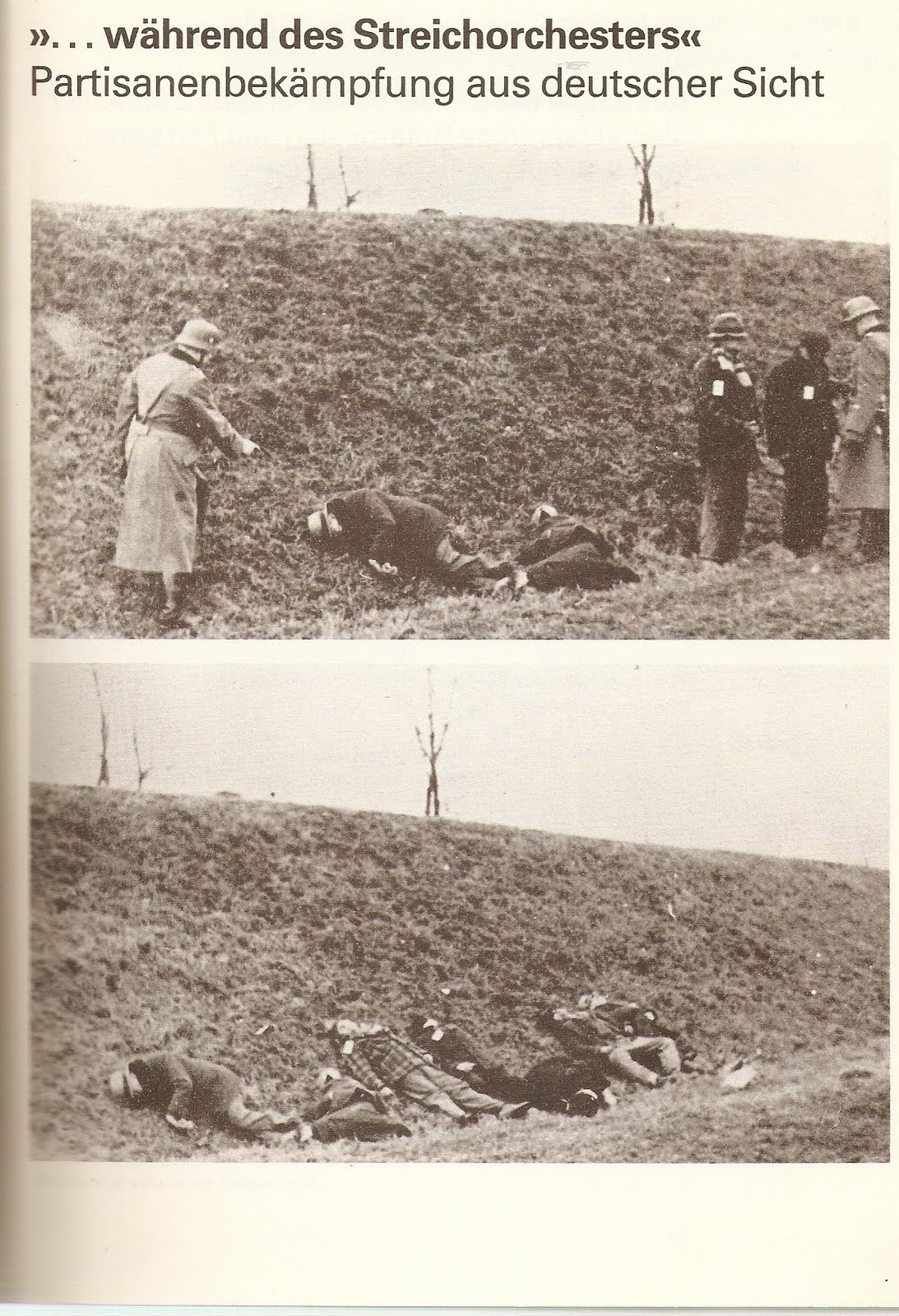 [Partisanenbekämpfung+aus+deutscher+Sicht.JPG]