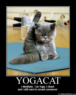 Yogacat Demotivational Poster