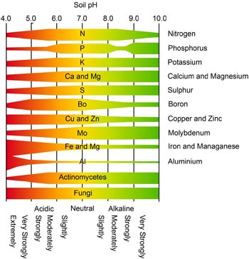 Dost%C4%99pno%C5%9B%C4%87+pierwiastk%C3%B3w+dla+ro%C5%9Blin+w+zale%C5%BCno%C5%9Bci+od+pH