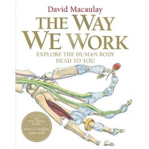 The way we're working isn't working. бизнес фон. Web 2 сервисы. How the brain works. The working way we are.