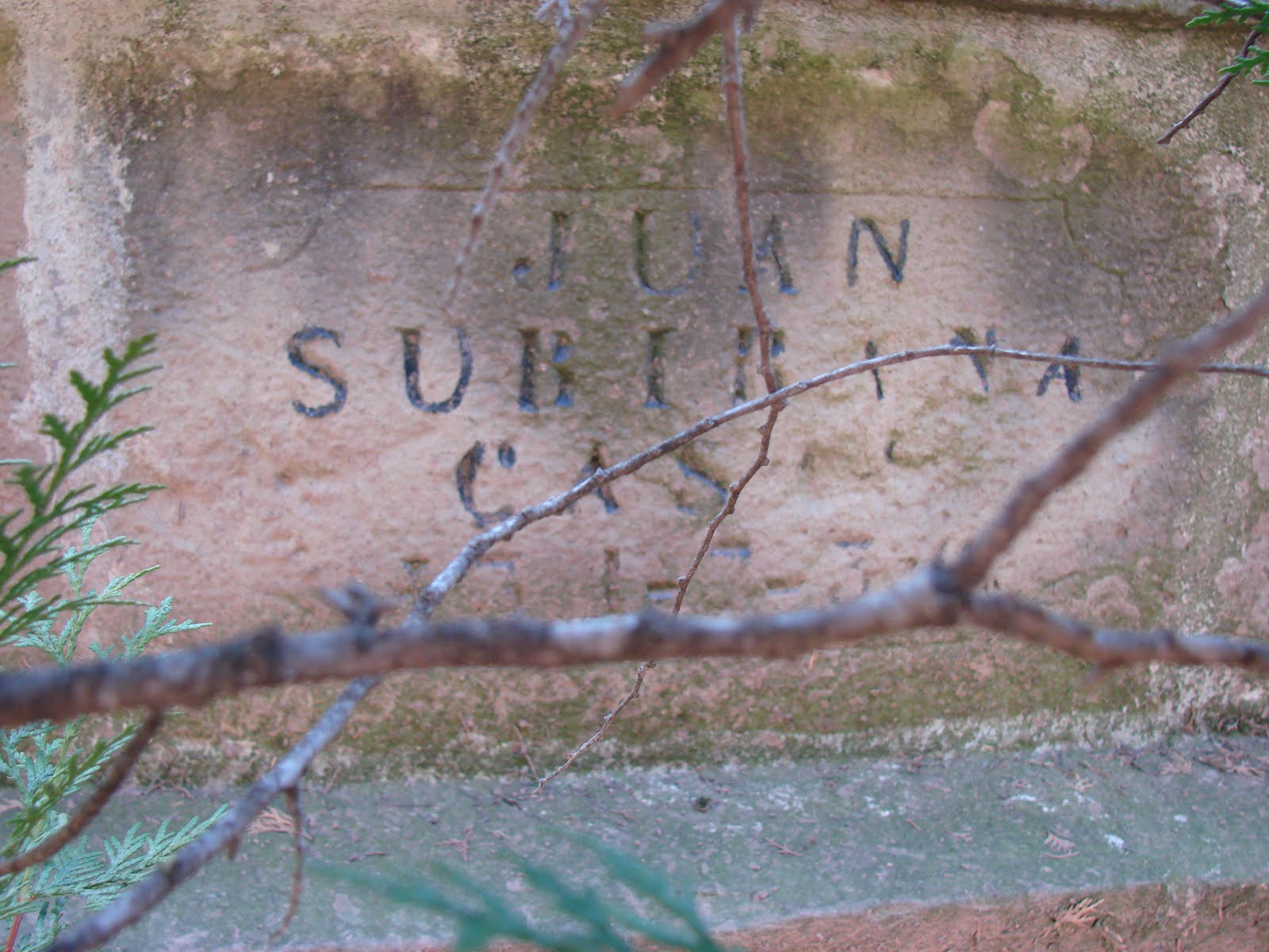 [Fonollosa+(10).JPG]