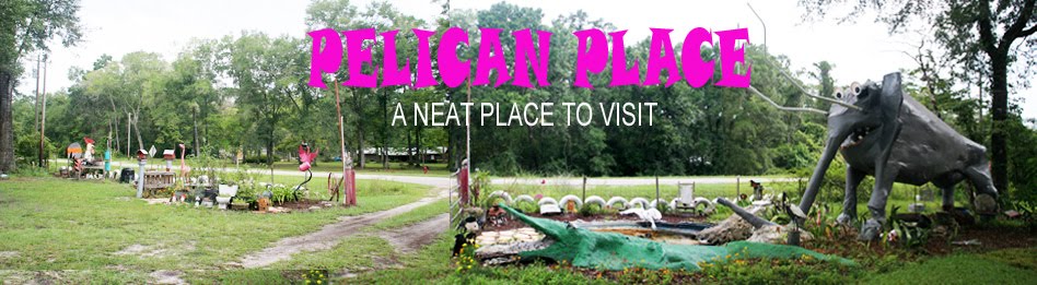 PELICAN---PLACE