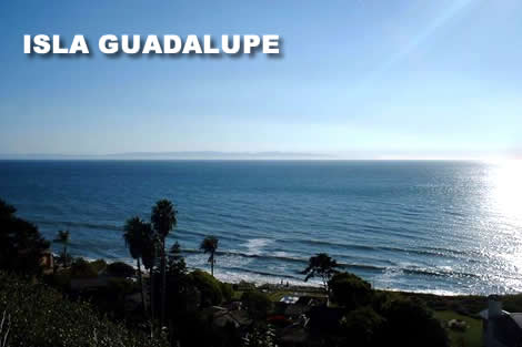 GUADALUPE