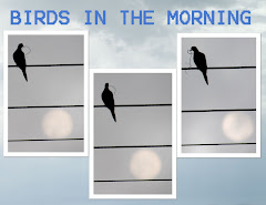 BIRDS IN THE MORNING