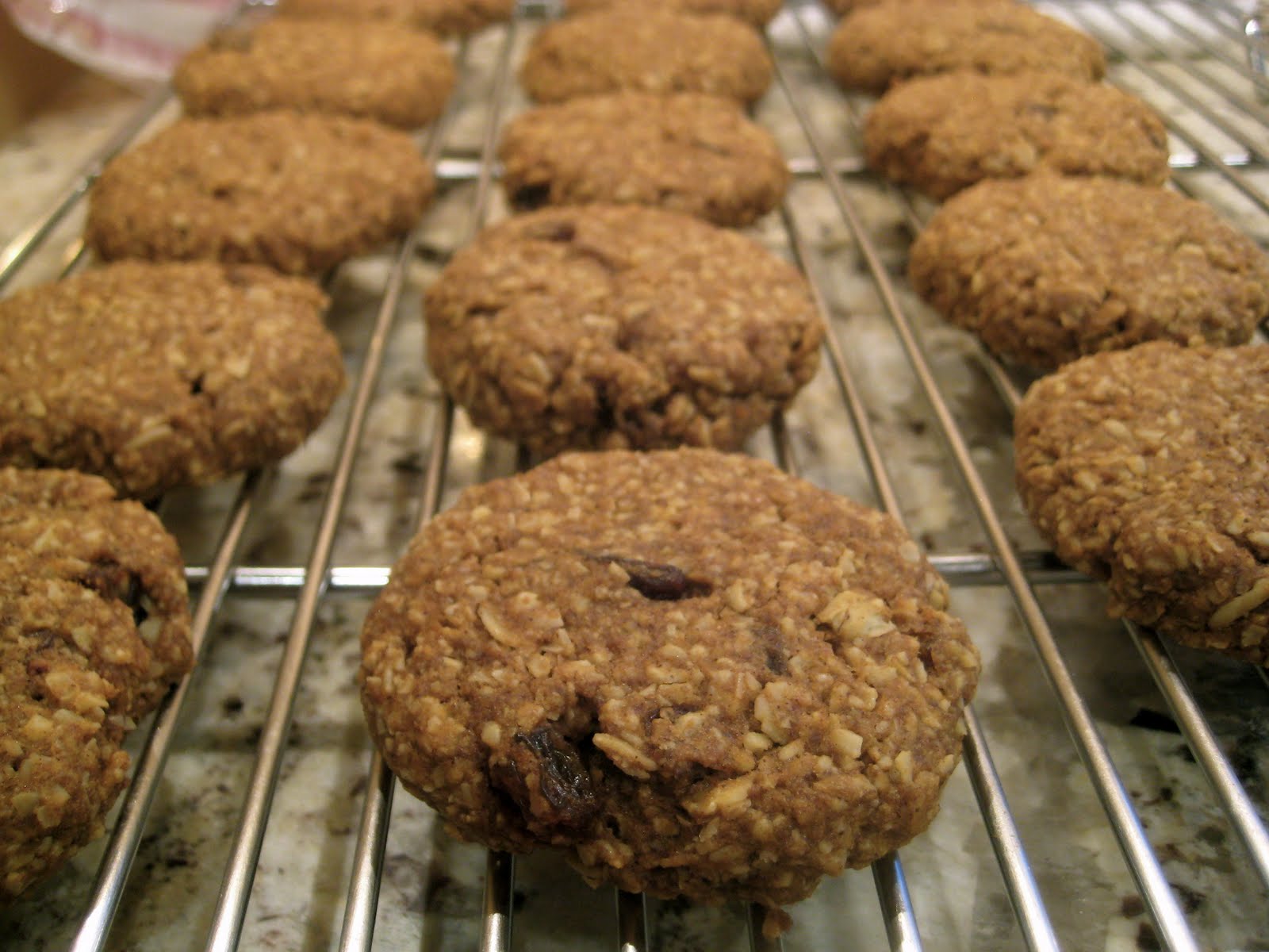 the allergic hedonist more pumpkin oatmeal cookies