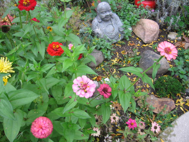 [buddhagarden+002.jpg]