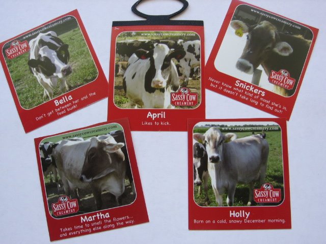 [SassyCow+001.jpg]