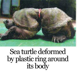 plastic-deforms-sea-turtle.jpg